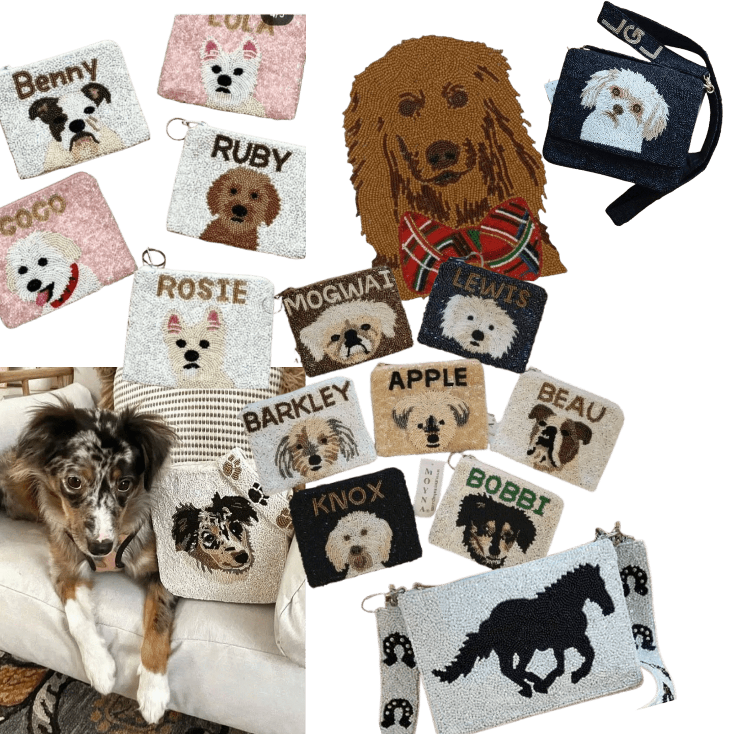 petpuches2 (1)
